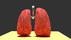Lung