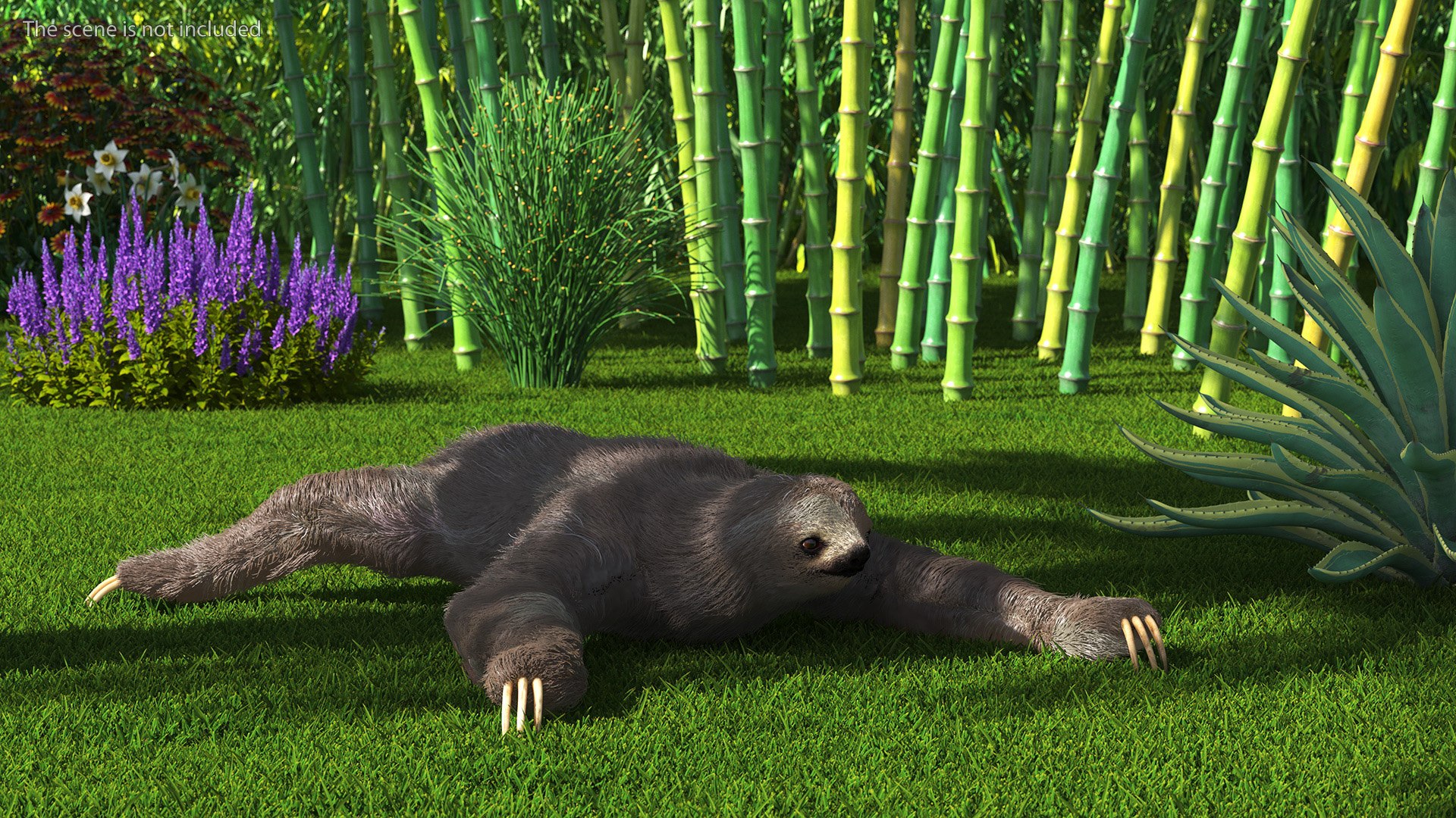 Sloth Crawls Fur 3D - TurboSquid 2178335