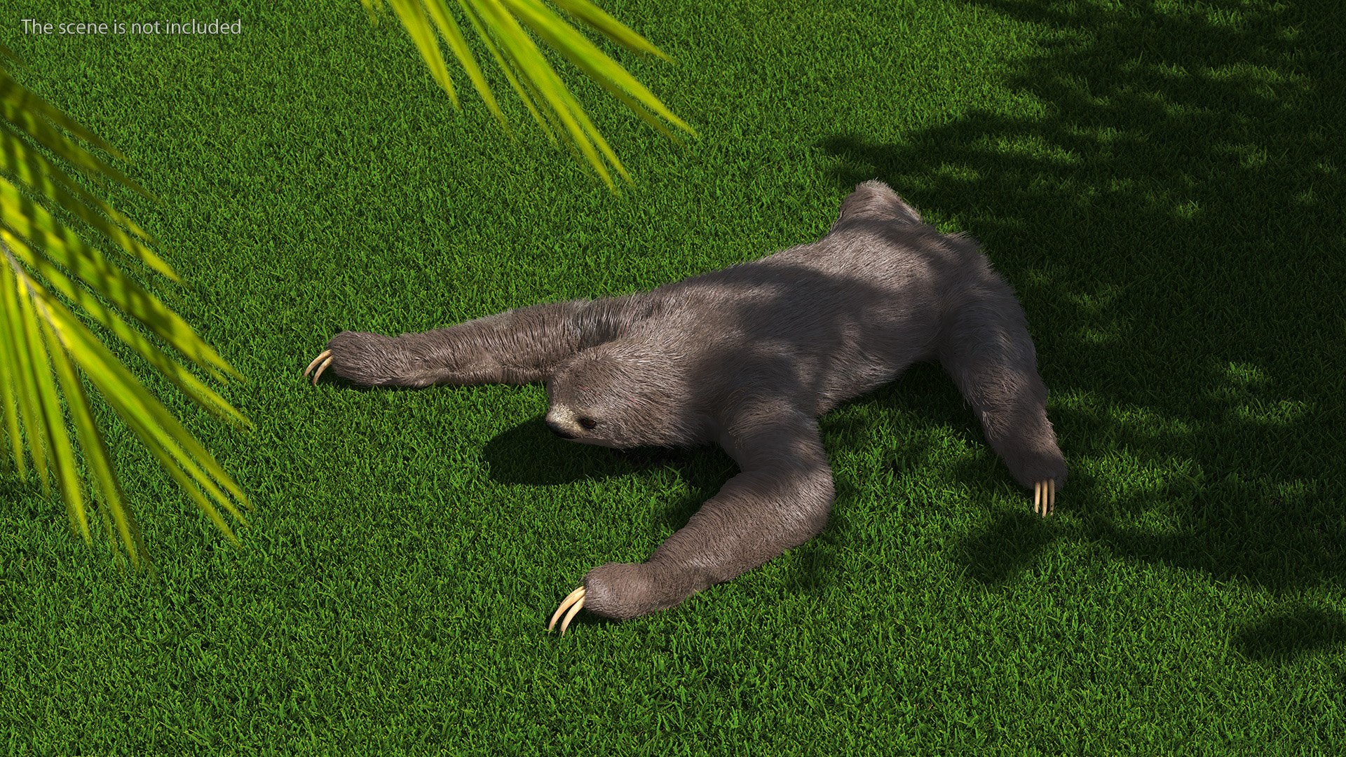 Sloth Crawls Fur 3D - TurboSquid 2178335