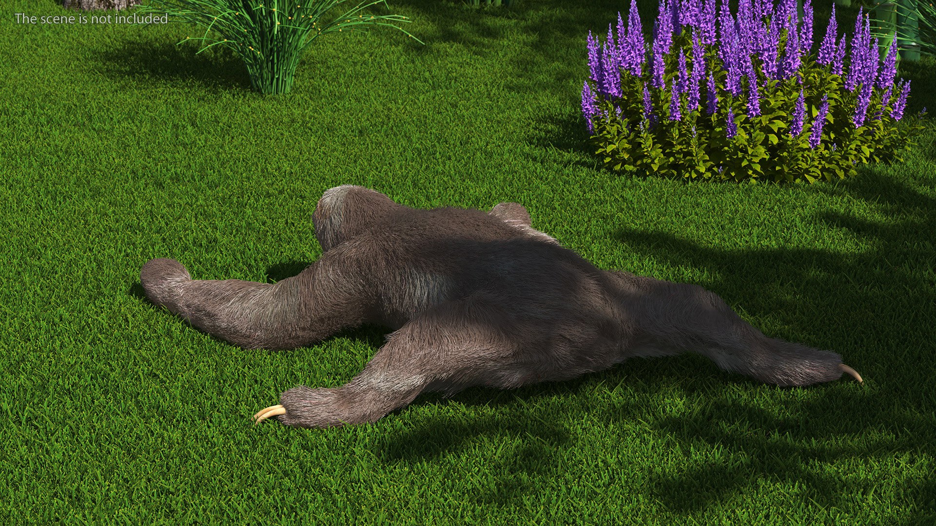 Sloth Crawls Fur 3D - TurboSquid 2178335
