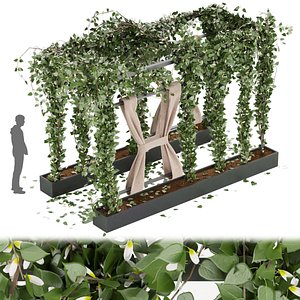 Collection plant vol 28 3D model