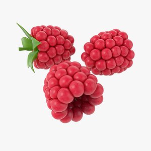 Cartoon Raspberry Set