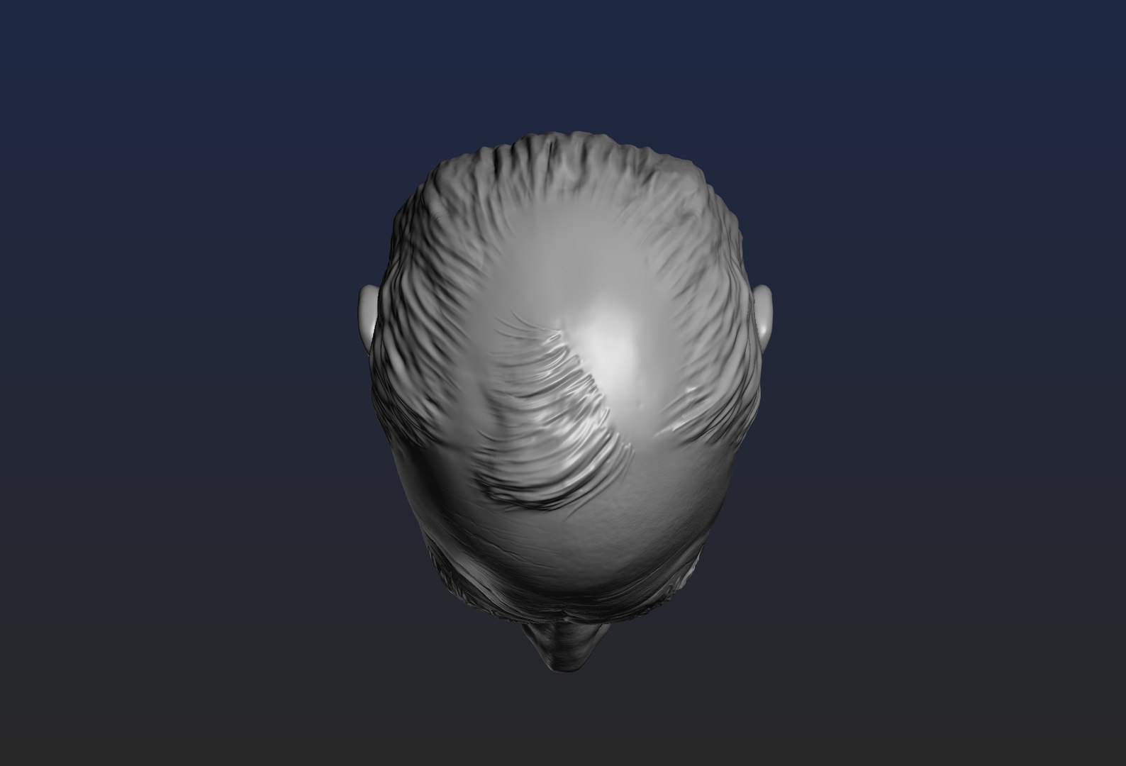 3D Model Churchill Head - TurboSquid 1876439