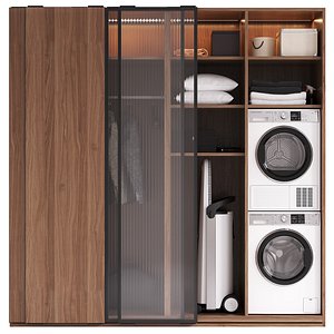 LAUNDRY SET (Fisher Paykel + Miele)