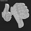 thumbs 2 3D model