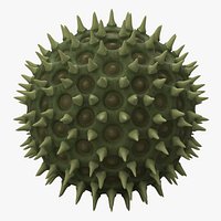 Pollen Particle