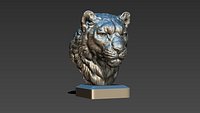 Snow leopard Irbis