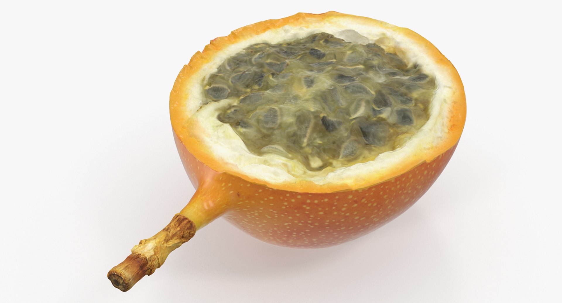 Granadilla Slice 3D model preview