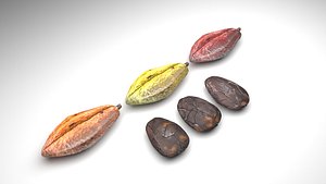 Cocoa Fruits and Beans Set 3D model