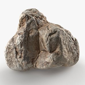 3D model River Stone 18 StemCell