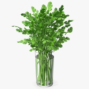 Cilantro Water Glass