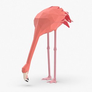 3D flamingo---eating