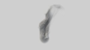 Smoke animation vdb sequence volume fog