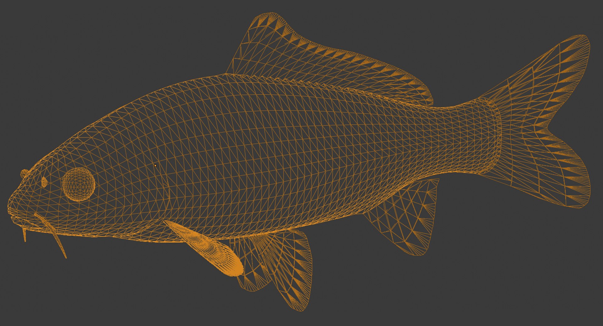 Fish Carp 3d Model