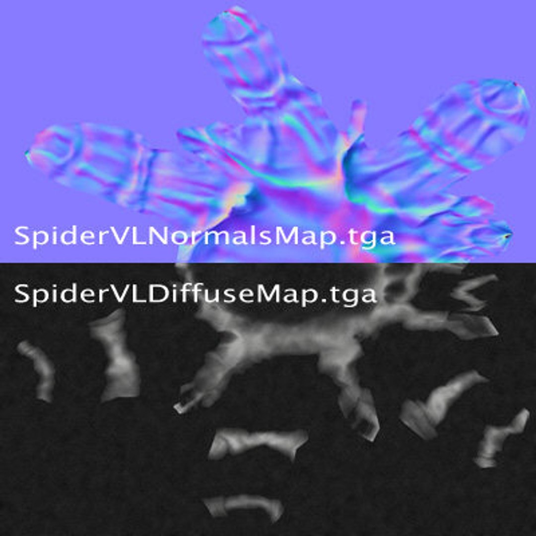 Spider Animation 3d Model