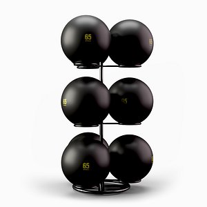 3D swissballrackmax