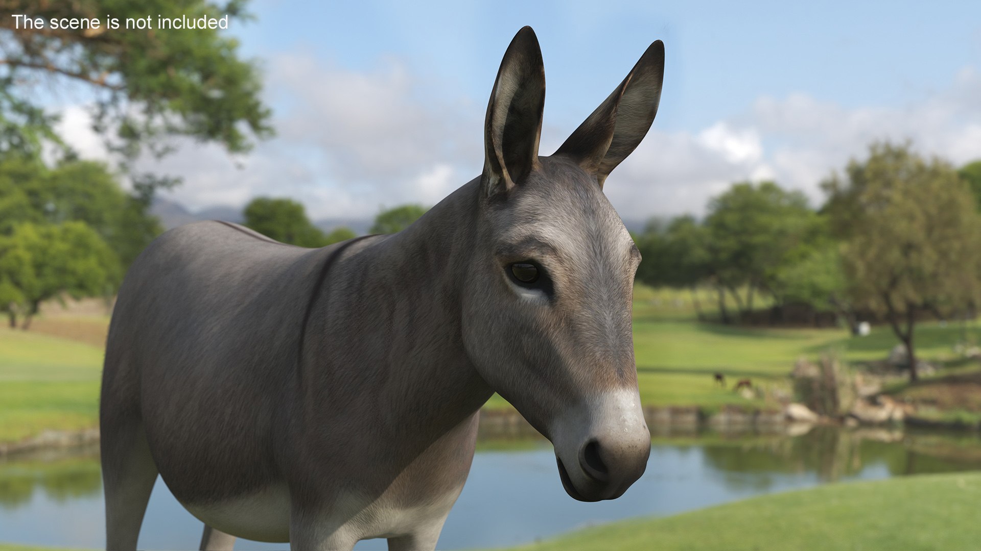 Farm Mammal Donkey 3D model https://p.turbosquid.com/ts-thumb/fP/7QWeTp/Gf/farm_mammal_donkey_003/jpg/1749256722/1920x1080/fit_q87/805a10ad9849679e1a49fc065b3d5d111ada6818/farm_mammal_donkey_003.jpg
