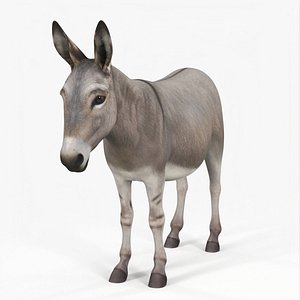 Farm Mammal Donkey 3D model
