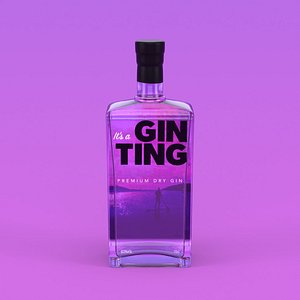 3D GinTing Gin Bottle model