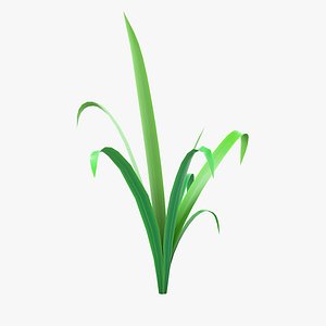 3D Cartoon Long Grass 03