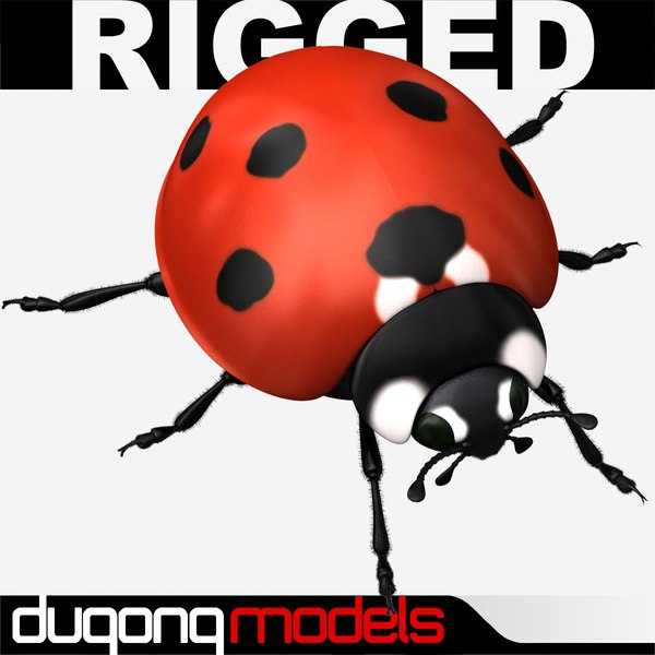 3d dugm05 ladybug
