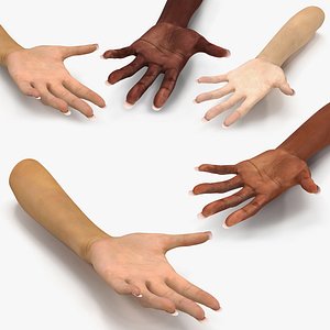 female rigged hands 3D