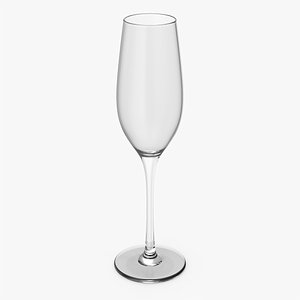 Champagne Glass 3D model