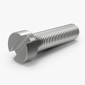 Slotted Head Bolt