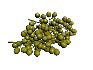 3D green grape model