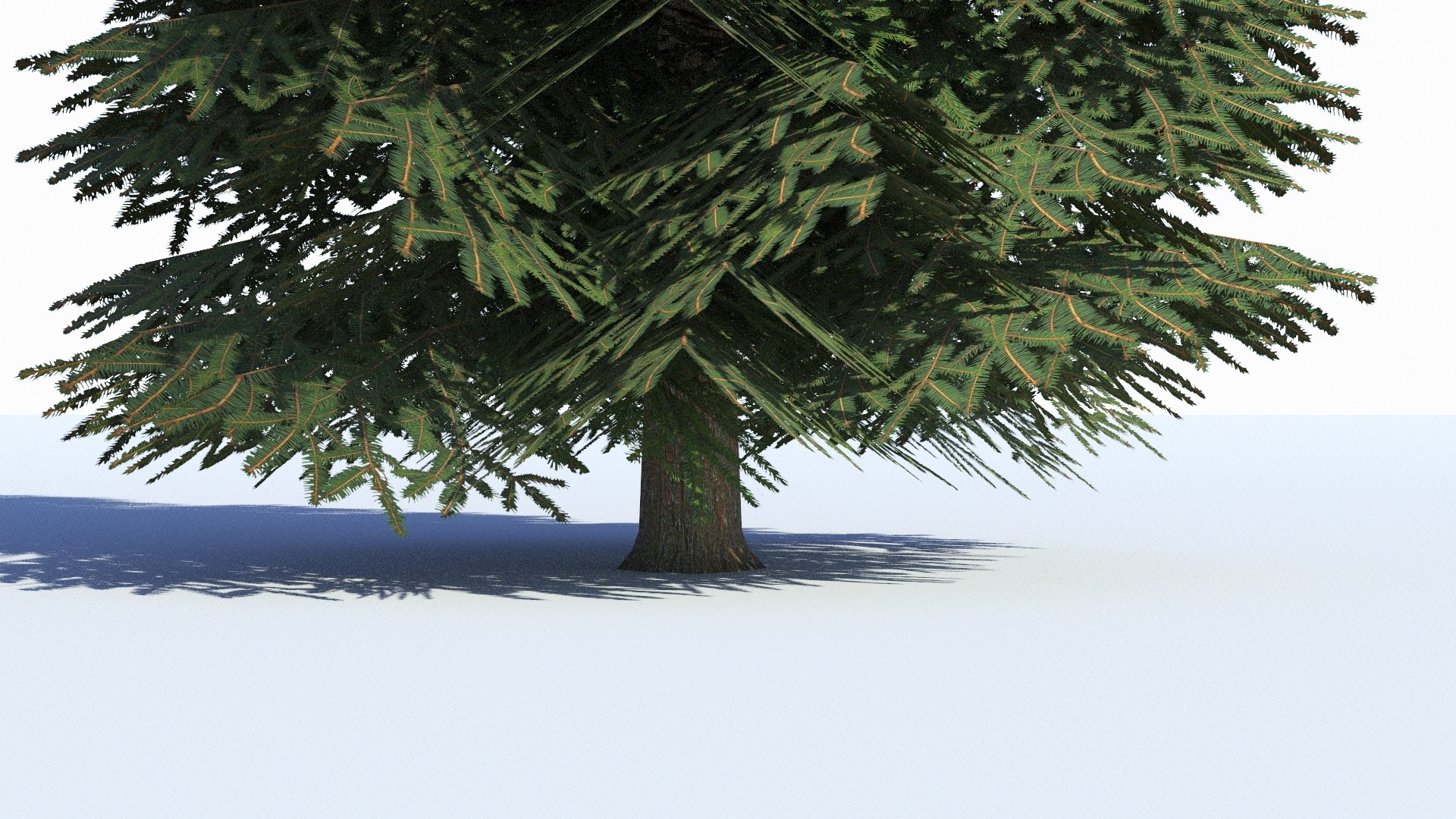 3D Spruce V2 Lowpoly - TurboSquid 2319122