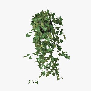 3d model of ivy pot