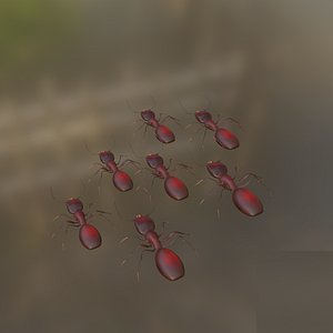 Low Poly Red Ant