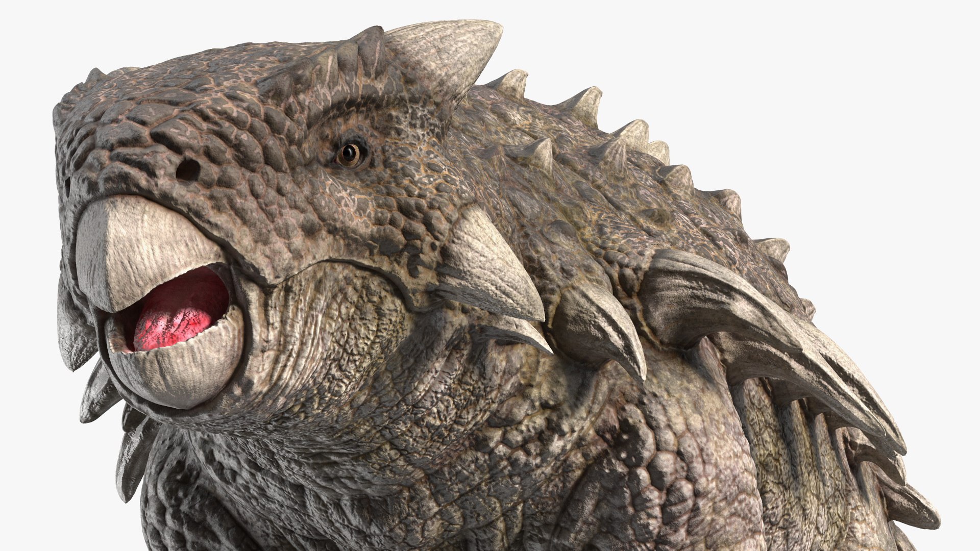 3D Alkylosaurus from Desert Habitats https://p.turbosquid.com/ts-thumb/fQ/31ZhjI/7Q/alkylosaurusfromdeserthabitats3dsmodel016/jpg/1704211356/1920x1080/fit_q87/1571fe7155bf06577daf06ff3aad918e3d9d926a/alkylosaurusfromdeserthabitats3dsmodel016.jpg
