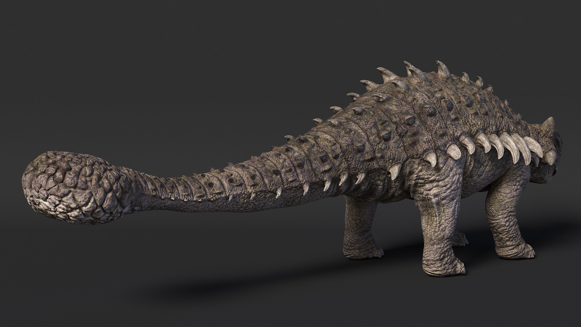 3D Alkylosaurus from Desert Habitats https://p.turbosquid.com/ts-thumb/fQ/31ZhjI/Bi/alkylosaurusfromdeserthabitats3dsmodel008/jpg/1704211317/1920x1080/fit_q87/ea15aabc85dc25c63ee01a96cdb4b528e93ab8ac/alkylosaurusfromdeserthabitats3dsmodel008.jpg