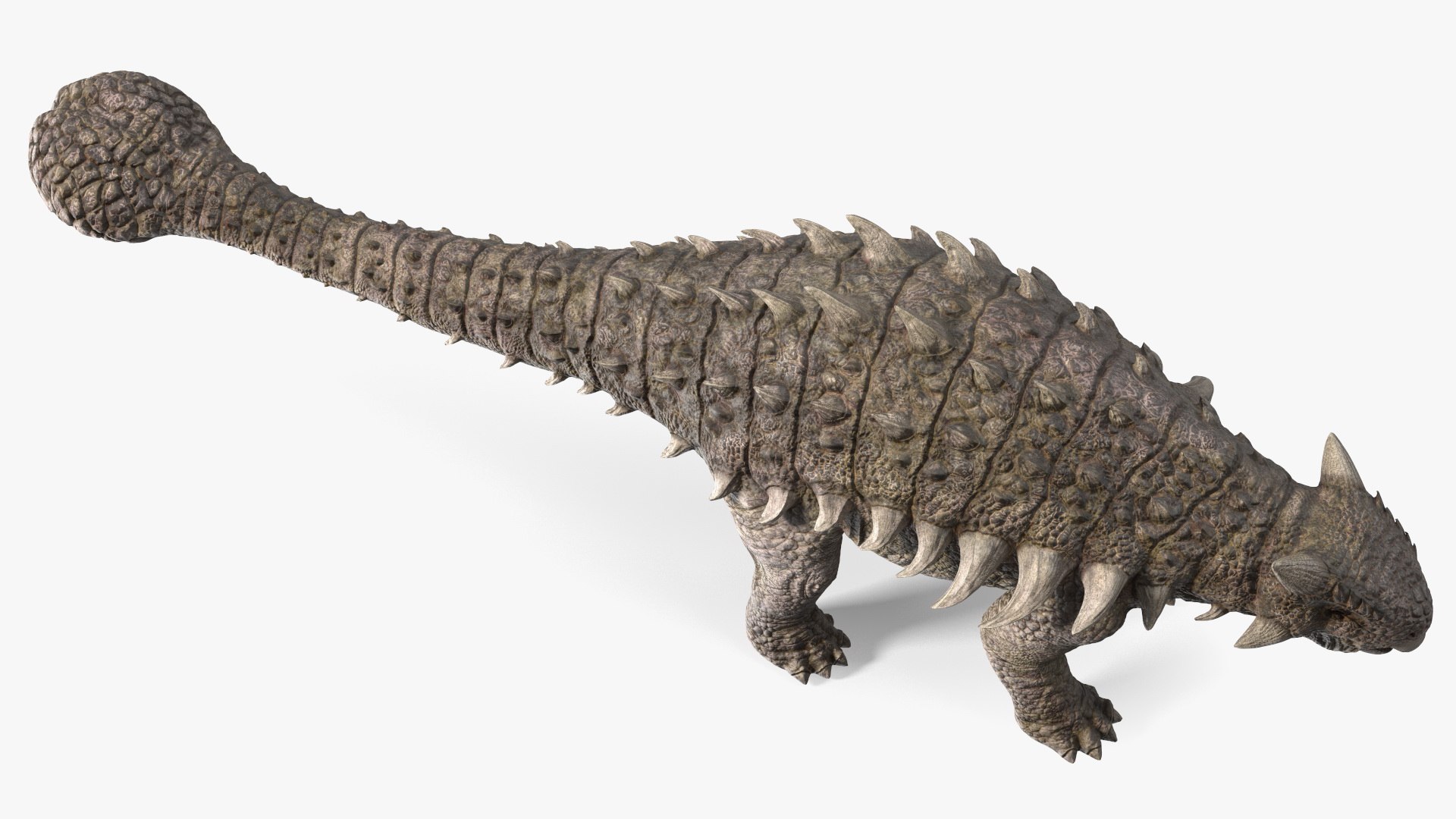 3D Alkylosaurus from Desert Habitats https://p.turbosquid.com/ts-thumb/fQ/31ZhjI/DN/alkylosaurusfromdeserthabitats3dsmodel013/jpg/1704211342/1920x1080/fit_q87/70b9a74adf4f89465ba3bd3c7169dd52147336ef/alkylosaurusfromdeserthabitats3dsmodel013.jpg