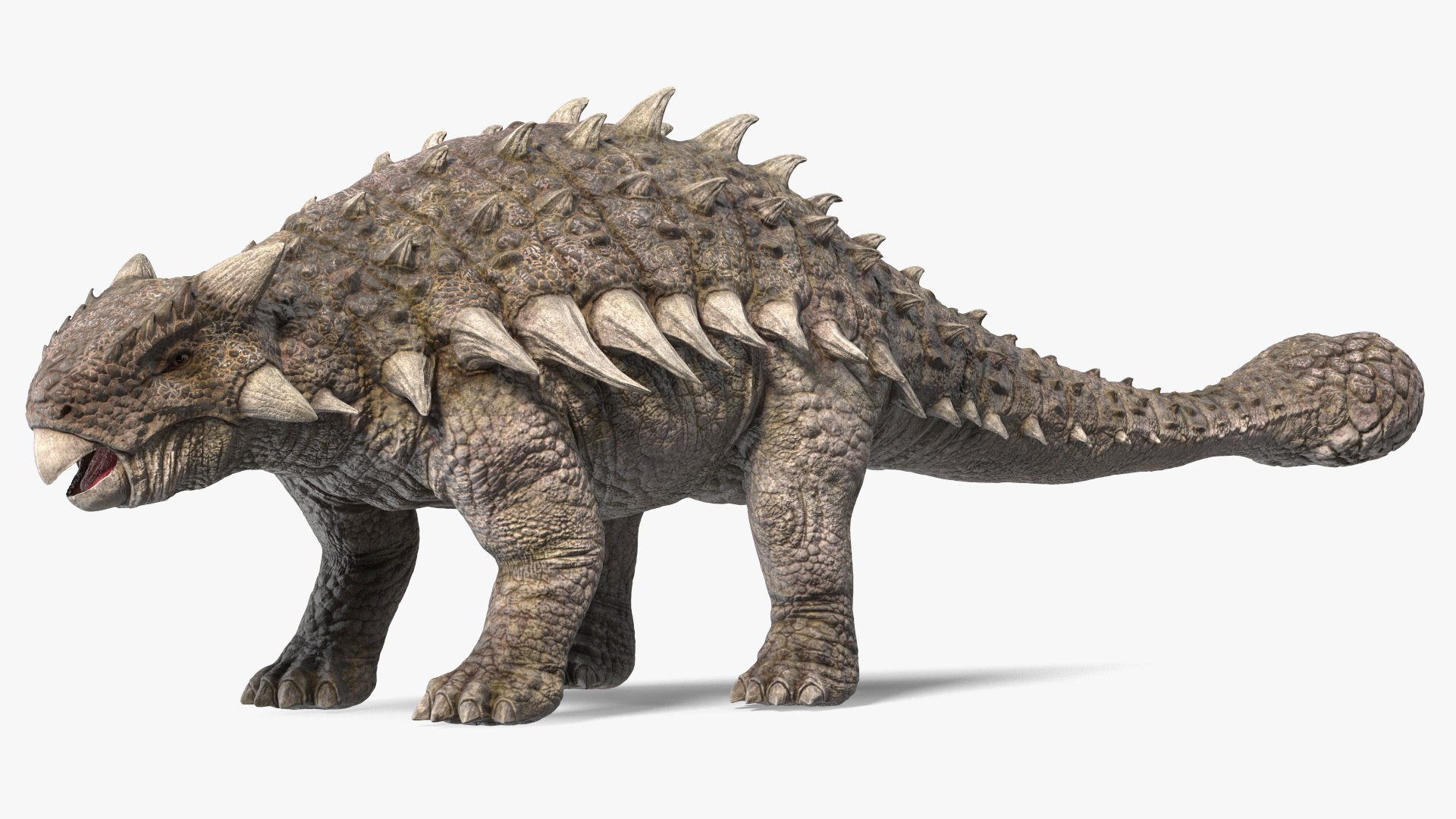 3D Alkylosaurus from Desert Habitats https://p.turbosquid.com/ts-thumb/fQ/31ZhjI/F4/alkylosaurusfromdeserthabitats3dsmodel010/jpg/1704211327/1920x1080/fit_q87/74f97e6e5d745bd5515fa5e8ba5f8693dfc50d0b/alkylosaurusfromdeserthabitats3dsmodel010.jpg