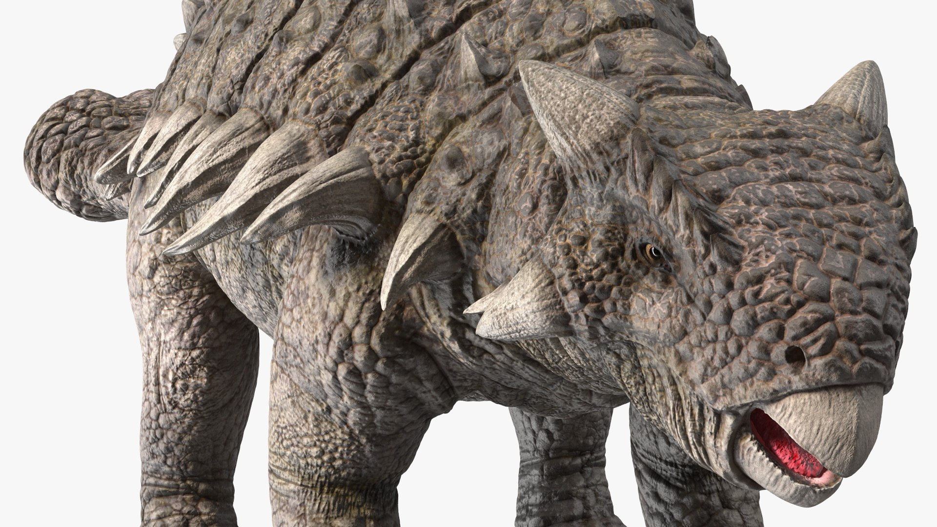 3D Alkylosaurus from Desert Habitats https://p.turbosquid.com/ts-thumb/fQ/31ZhjI/Qp/alkylosaurusfromdeserthabitats3dsmodel015/jpg/1704211352/1920x1080/fit_q87/26c1e1ee67859251ad026714631100f4c434fb55/alkylosaurusfromdeserthabitats3dsmodel015.jpg