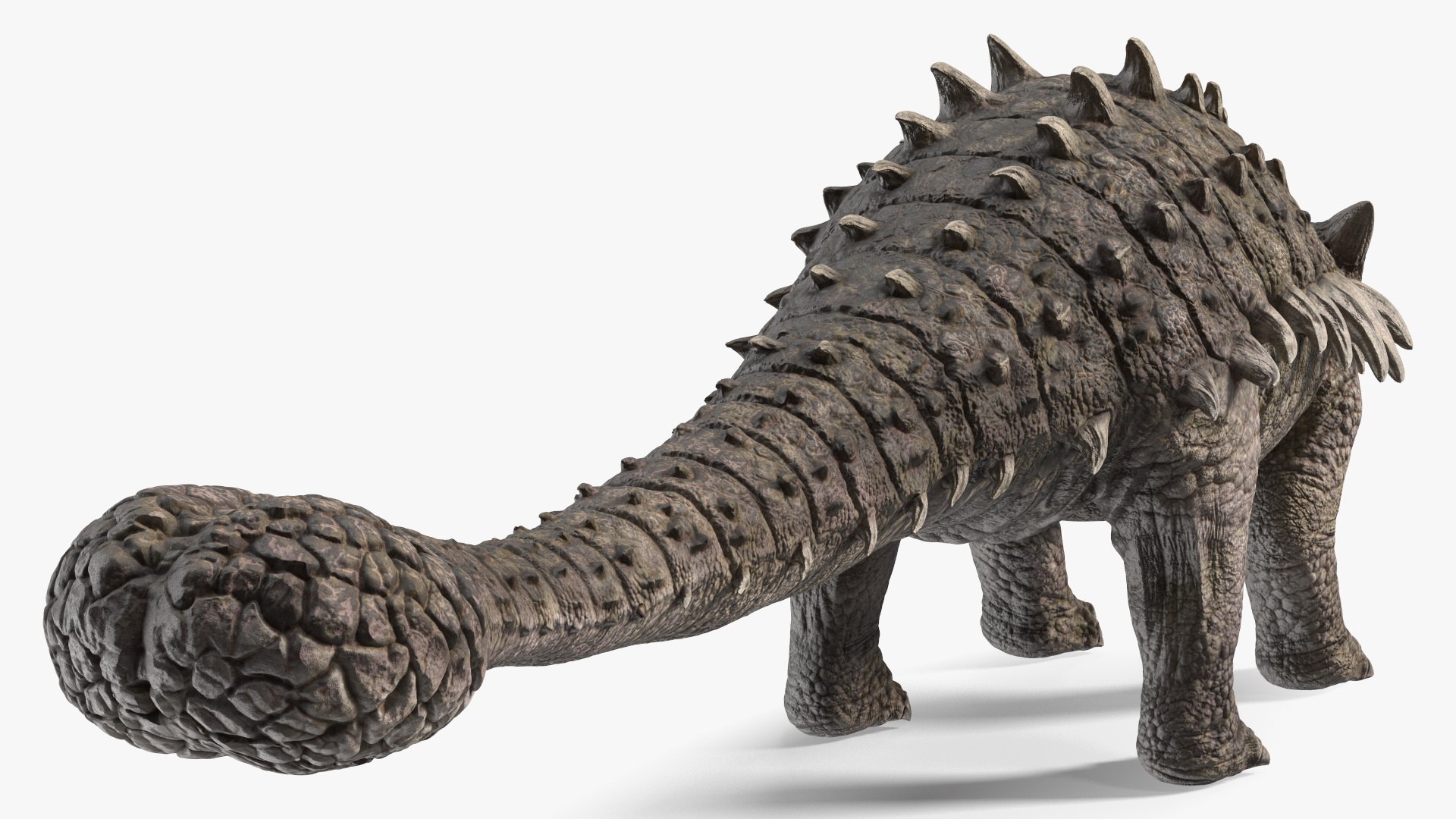 3D Alkylosaurus from Desert Habitats https://p.turbosquid.com/ts-thumb/fQ/31ZhjI/R5/alkylosaurusfromdeserthabitats3dsmodel012/jpg/1704211337/1920x1080/fit_q87/1b443f9795b5dd3801e38f73f44310942c8df1e4/alkylosaurusfromdeserthabitats3dsmodel012.jpg