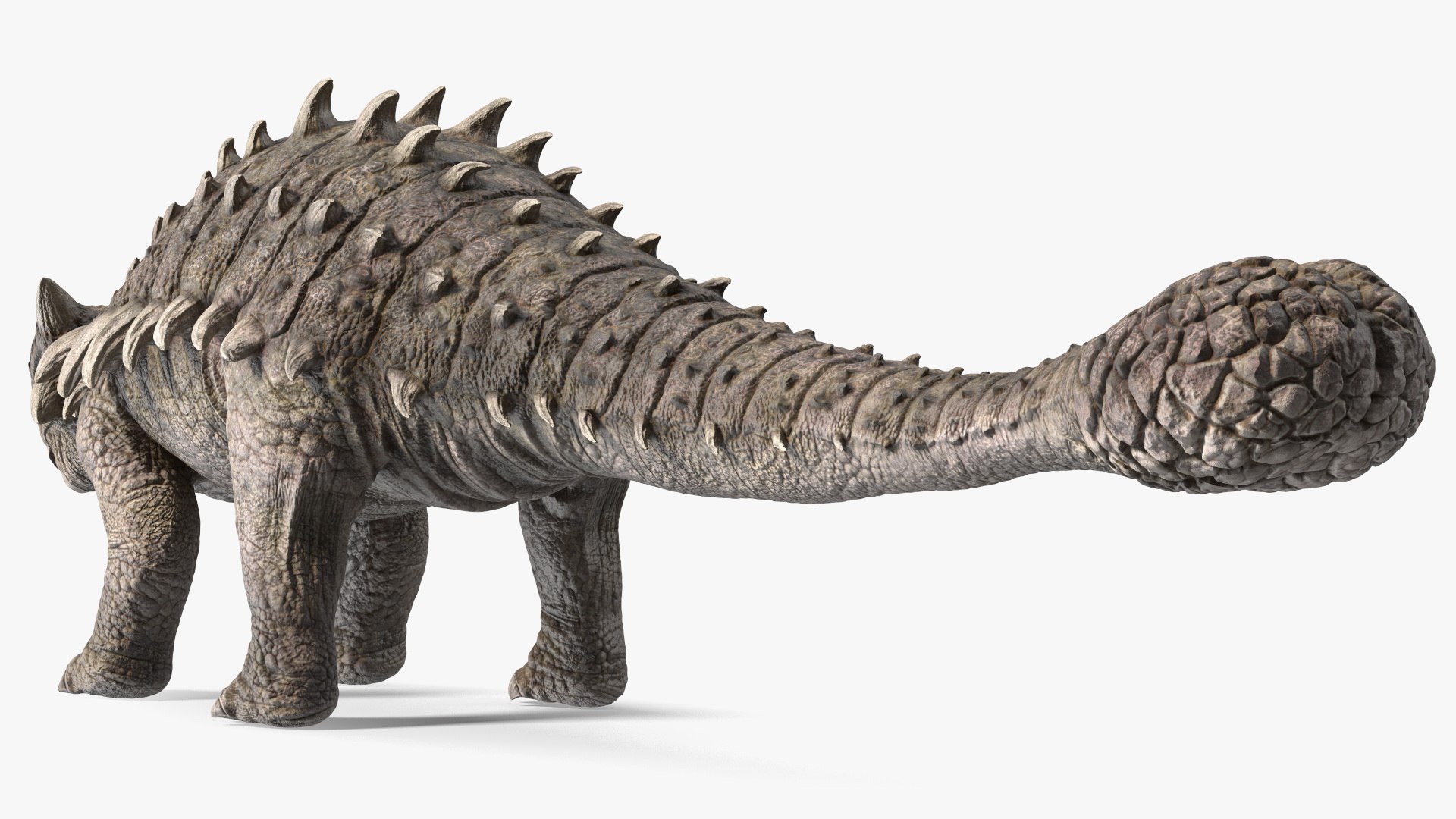 3D Alkylosaurus from Desert Habitats https://p.turbosquid.com/ts-thumb/fQ/31ZhjI/kv/alkylosaurusfromdeserthabitats3dsmodel011/jpg/1704211332/1920x1080/fit_q87/945e6f6b16ab4e44ba869b17ae32f0d1dd0e77ae/alkylosaurusfromdeserthabitats3dsmodel011.jpg