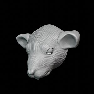Rat decor