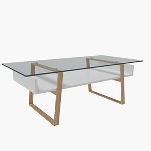 Contemporary Coffee Table 06