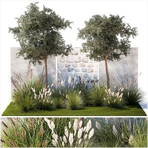 Garden With Large Trees And Feather Grass Bushes 1404