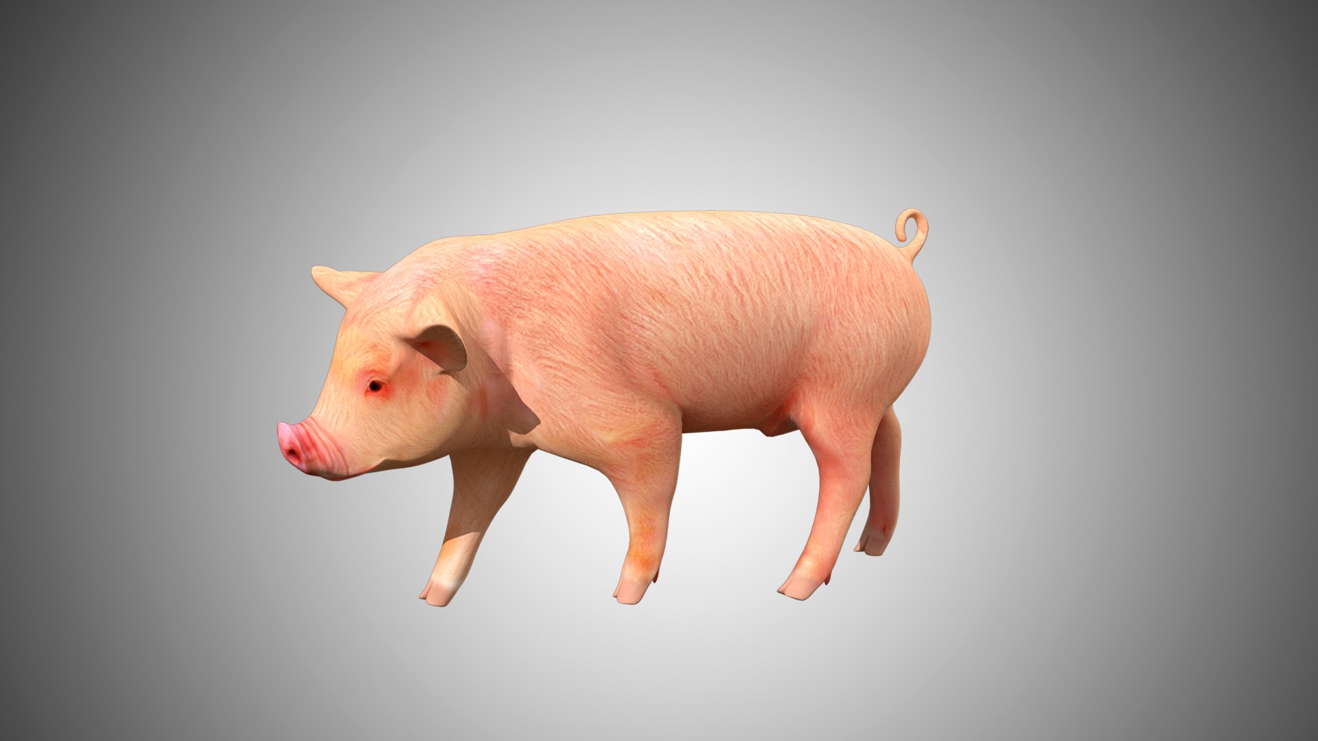 3D Rigged Realistic - TurboSquid 1609649