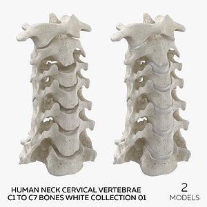 3D Human Neck Cervical Vertebrae C1 to C7 Bones White Collection 01 - 2 models
