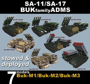 SA-11/SA-17 variants