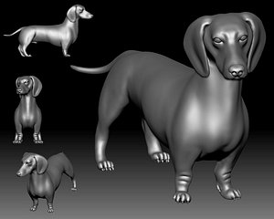 dutch hound printable 3D