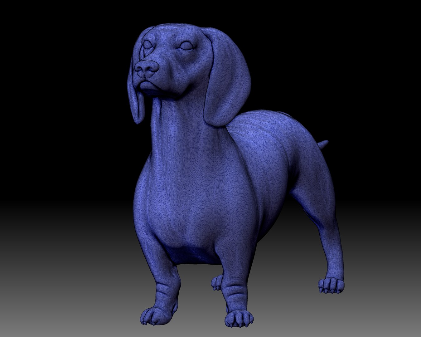 dutch hound printable 3D https://p.turbosquid.com/ts-thumb/fQ/u8amP4/r9/wireframe2/jpg/1609881213/1920x1080/fit_q87/fd370bda3e5c80e146cfc20a84cd2387845bf3e7/wireframe2.jpg