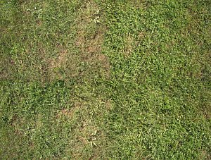 3D Ground002 QuixRyxe