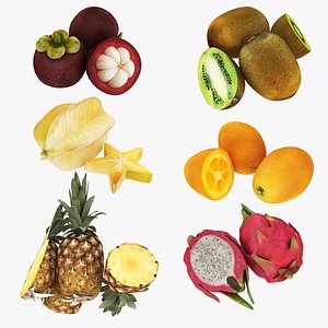 3D Exotic Fruits model