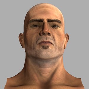 obj male figure musculature